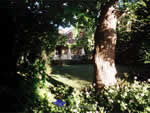 The Sydney Mystery - click to enlarge