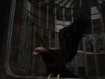 Syberia screenshot - click to enlarge