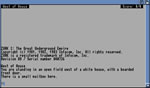 Zork screenshot - click to enlarge